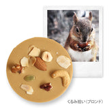 風景のディスク(箱入り6枚セット)