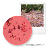 【ホワイトデー限定】風景のディスク 花咲くブーケセット