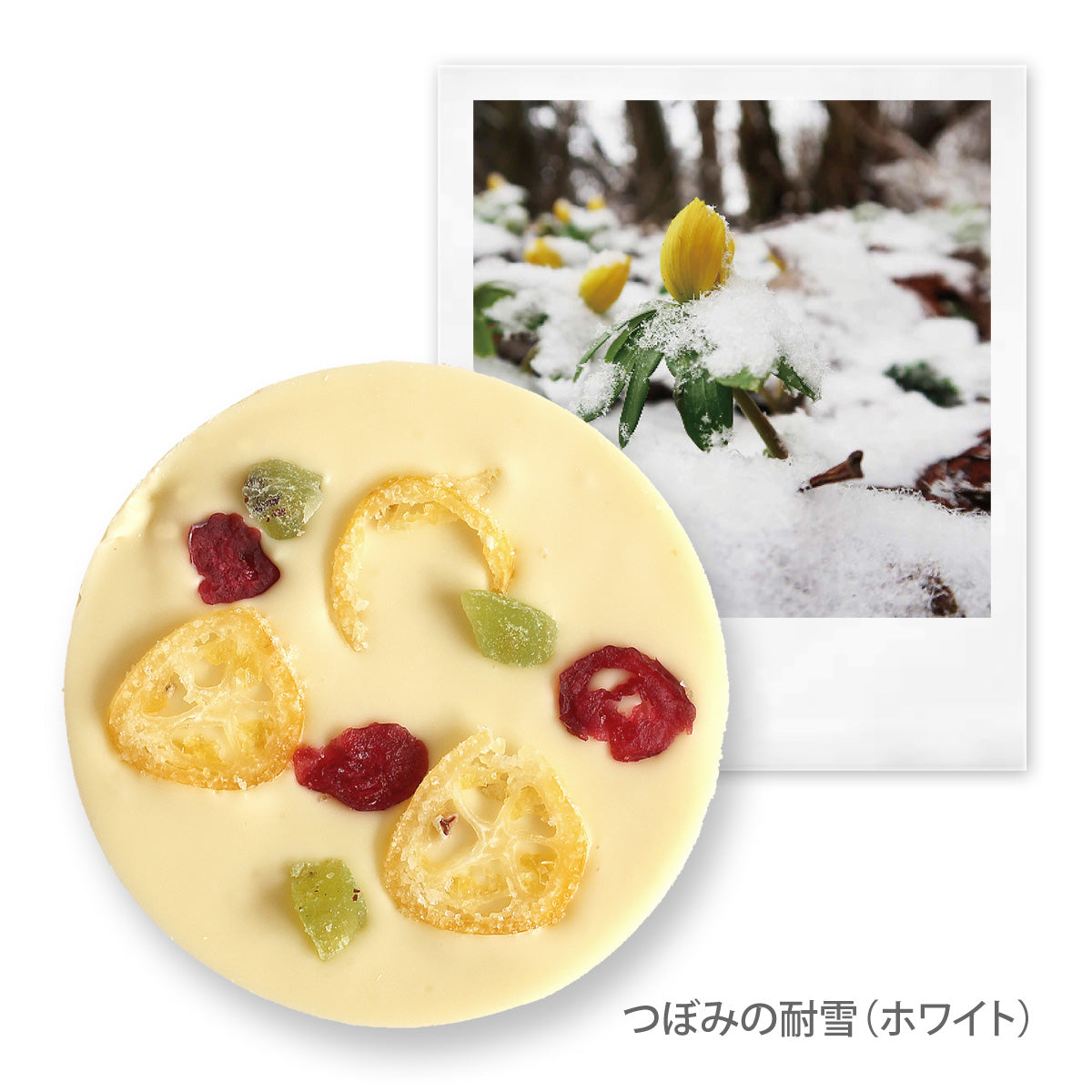 disc-white-01_54f7aeec-72d5-